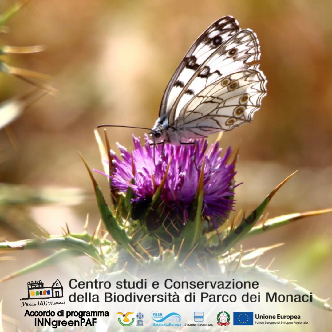 Giornata Mondiale della Biodiversità