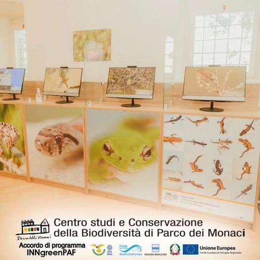 Centro Studi e Conservazione della Biodiversità - Postazioni PC